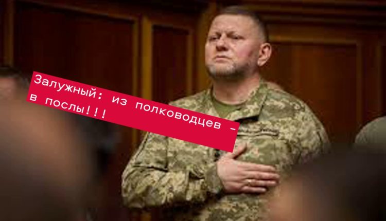 залужный